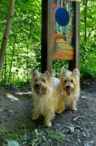 Nutmeg and Nora at Greenway Trail Marker 2012