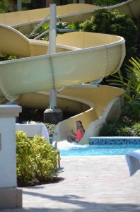 Hyatt Regency Orlando Grotto plunge pool